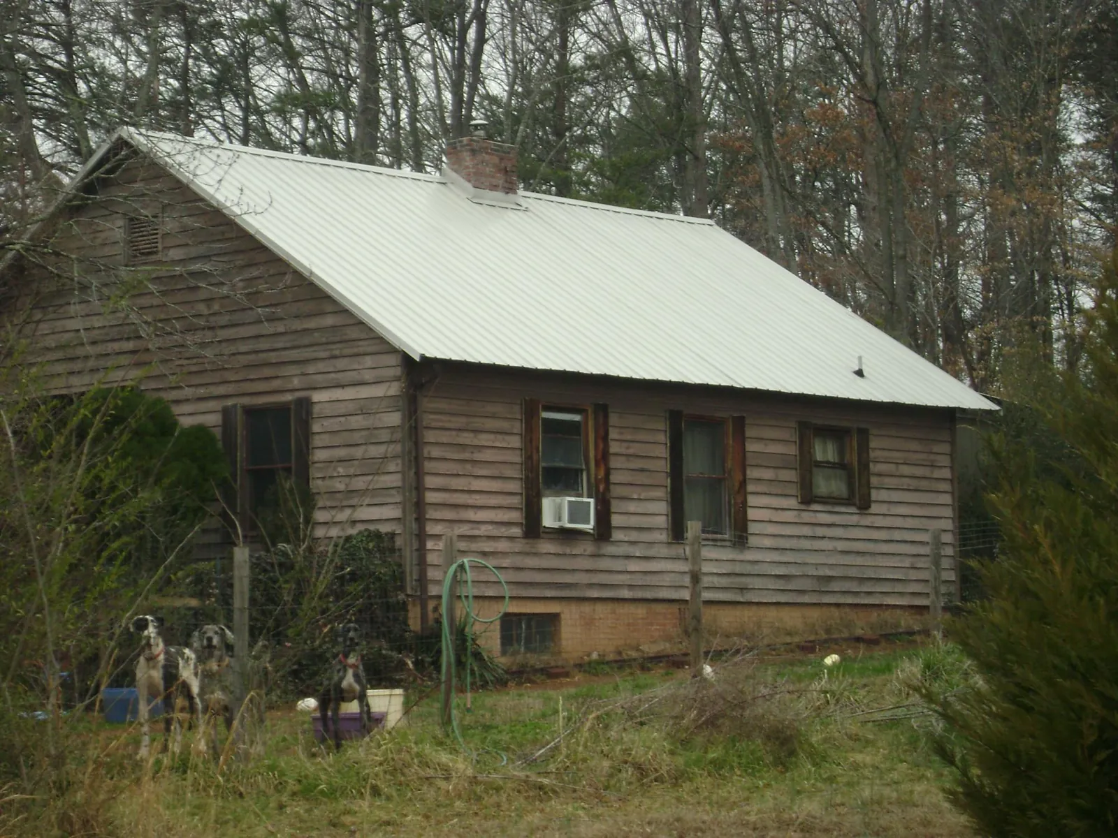 White metal roof on an old wood sided farmhouse, from a Asphalt Shingle Roof Repair job in Coolidge